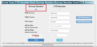 survey number
